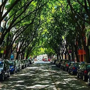 Campo De Ourique Lisboa